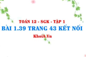 Bài 1.39 trang 43 Toán 12 tập 1 Kết nối tri thức